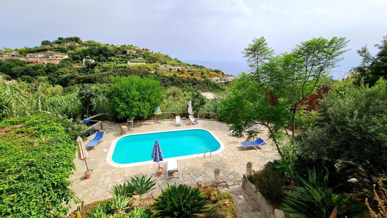 Il Sogno Apartment Forio (Isola d'Ischia)
